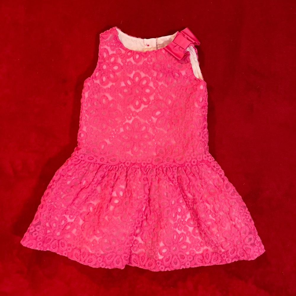 Dressed Up by Gymboree Baby Girl's Sleeveless Lined Pink Dress Size: 12-18M